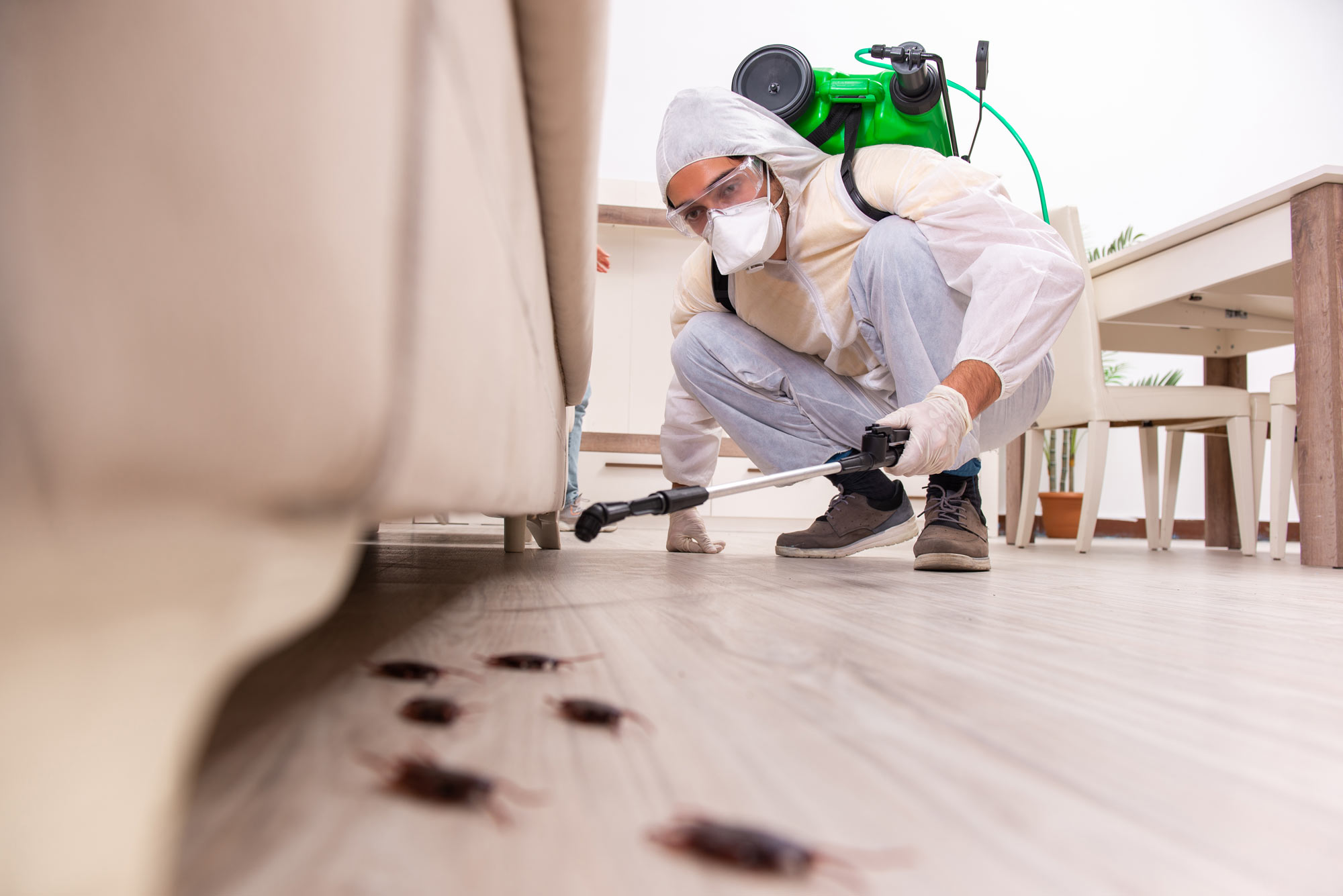 Expert Pest Control technician and service vehicle